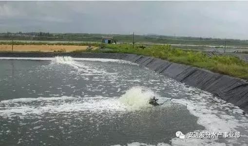 最全的池塘水体浑浊原因、危害、处理方案!_养殖