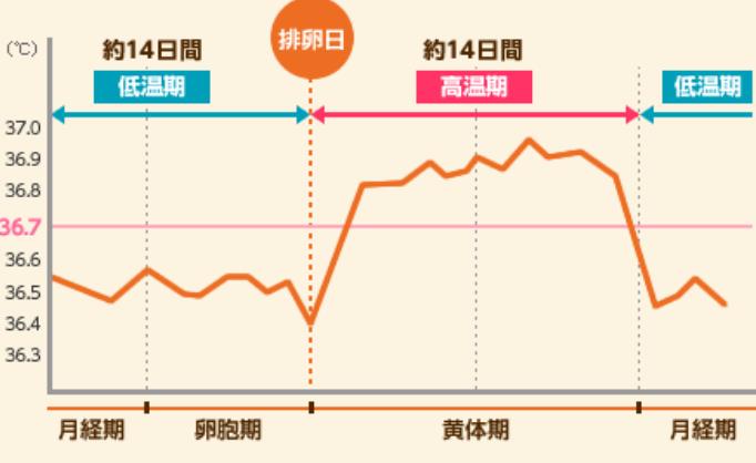 排卵期体温变化图表格图片