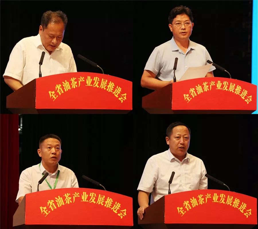 随后,张美钧通报全省油茶产业推进情况;周仕飞,杨明凤分别围绕油茶加