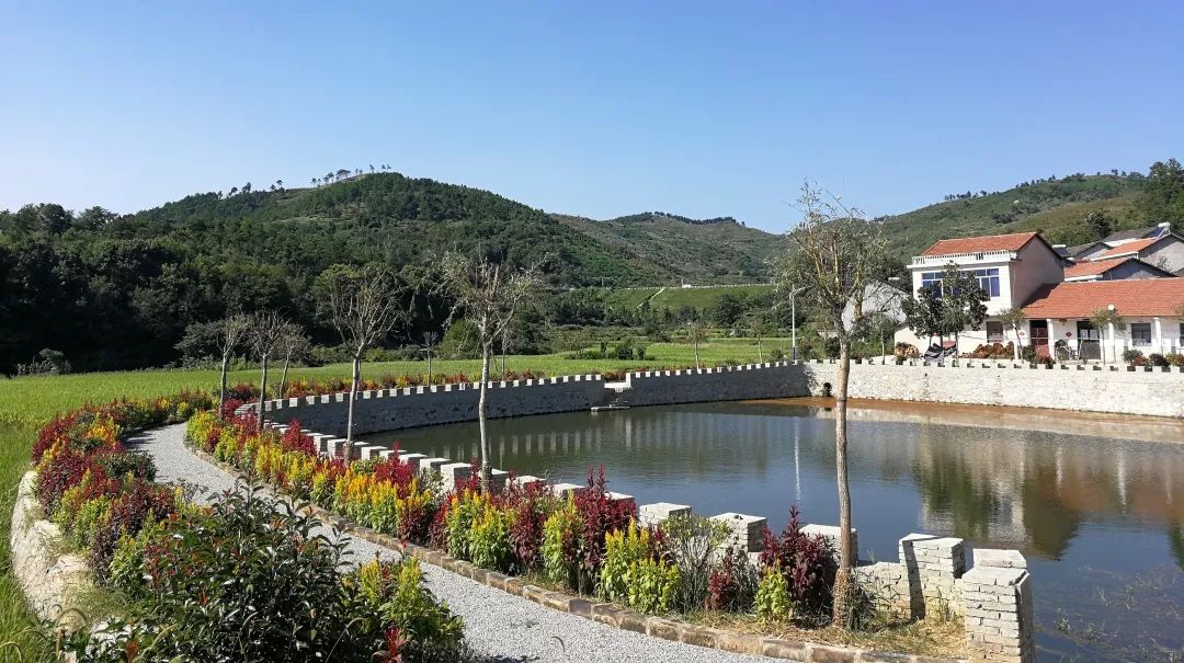 马曹庙镇全面提升人居环境推动高质量发展新篇章