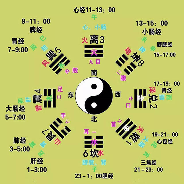 九宫八卦图人体图片