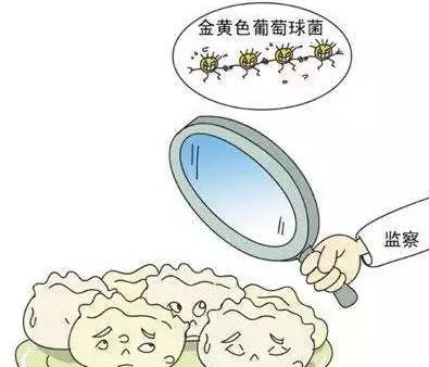 金黄色葡萄球菌别称嗜肉菌,曾被研究者在床单和枕头上发现过