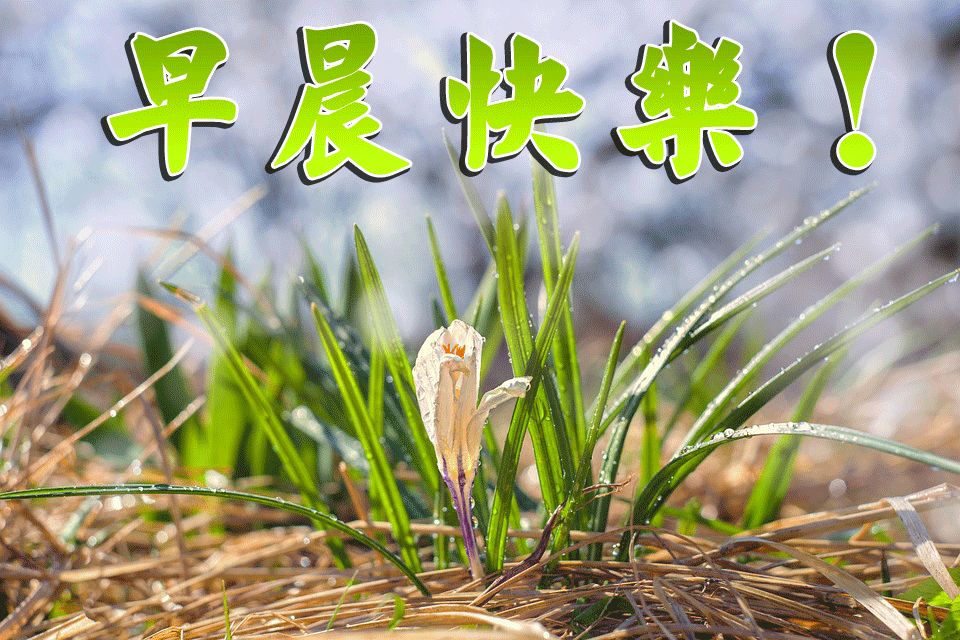 2019早上好问候语图片带字句子最新漂亮的早上好祝福暖心短句