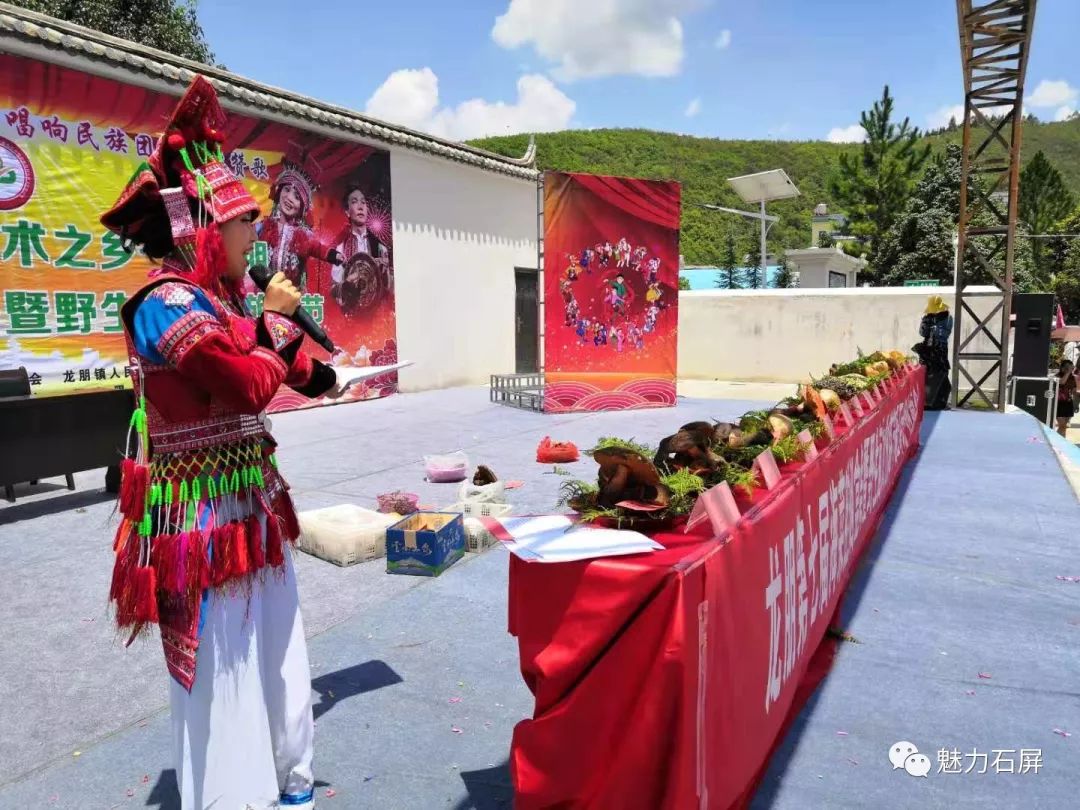 万众期待的龙朋第七届海菜腔烟盒舞暨野生菌文化旅游节开幕了你确定不