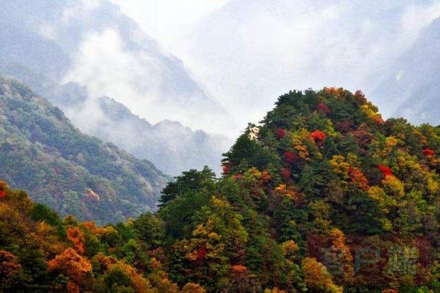 據瞭解:小秦嶺國家地質公園·娘娘山風景區位於河南省靈寶市區西南