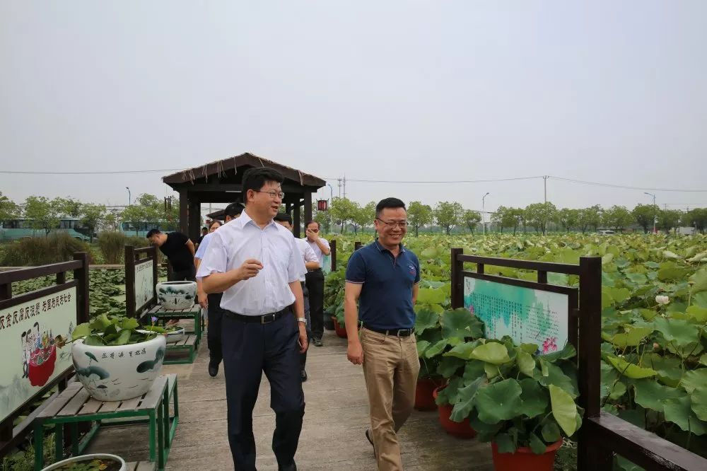 深入推进美丽乡村建设改善农村人居环境面貌车墩镇举办党委中心组学习