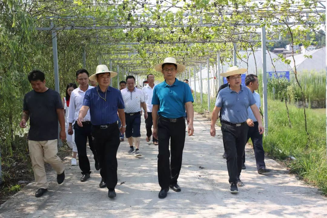 叶霖县长督导调研脱贫攻坚工作