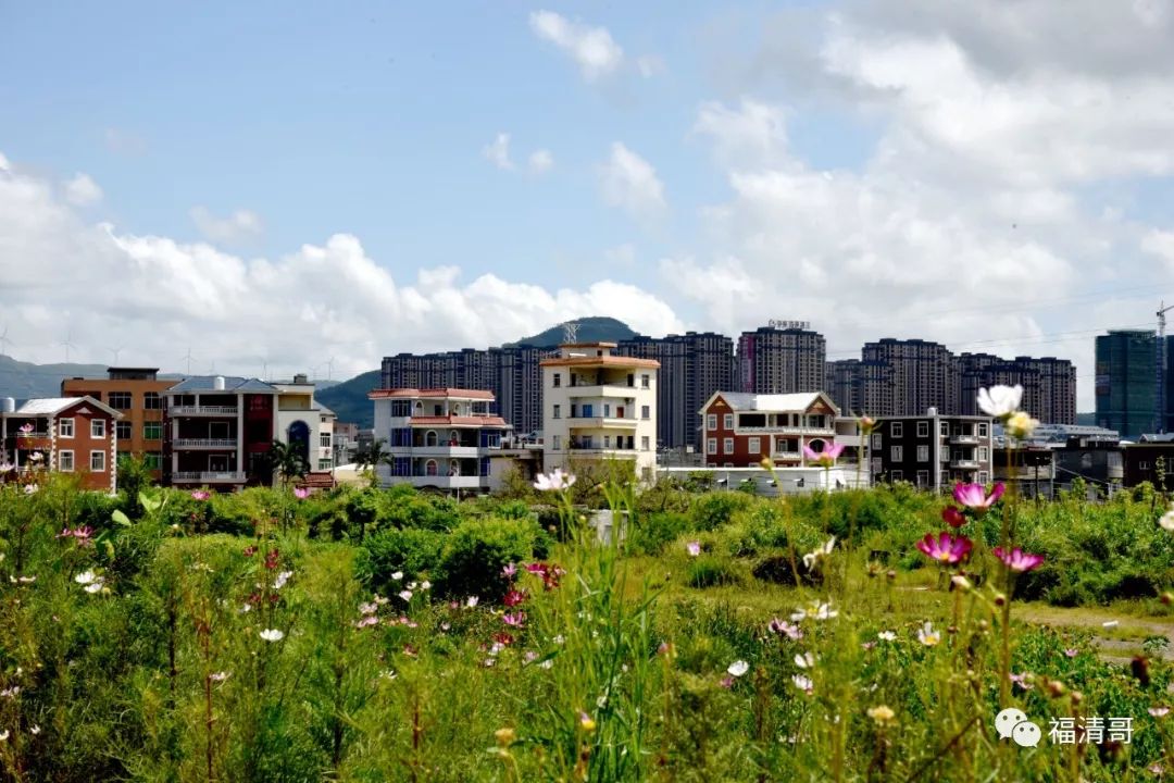 福清这个村繁花似锦精致民居依山傍水