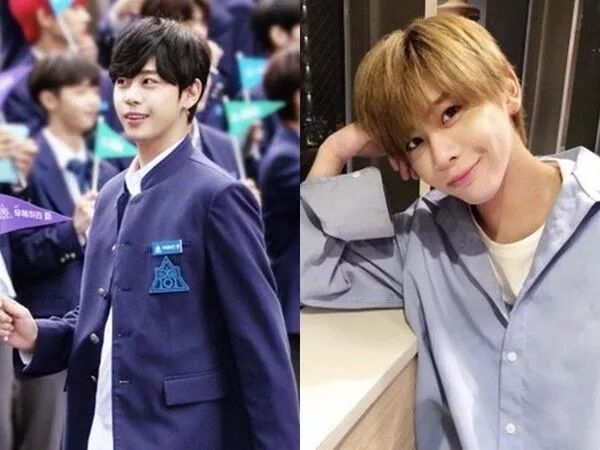 日版produce101选手照流出你真的pick韩系日本少年吗