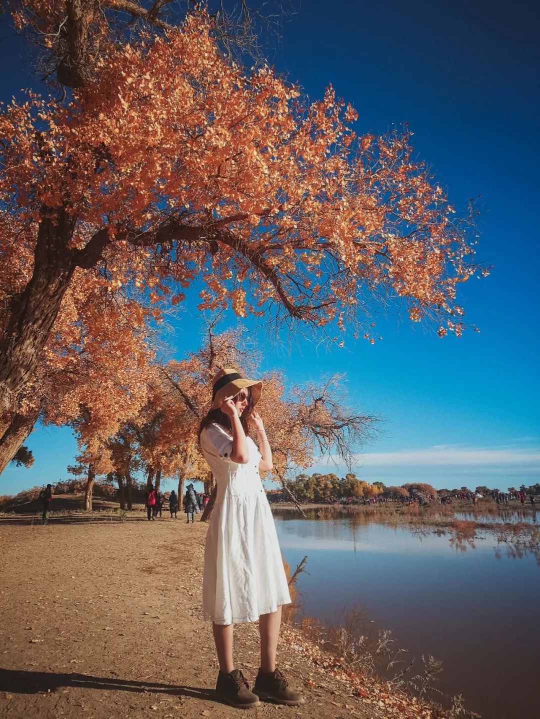 他们都是地球上天空和大地合奏的音符一生艰辛却顽强生存