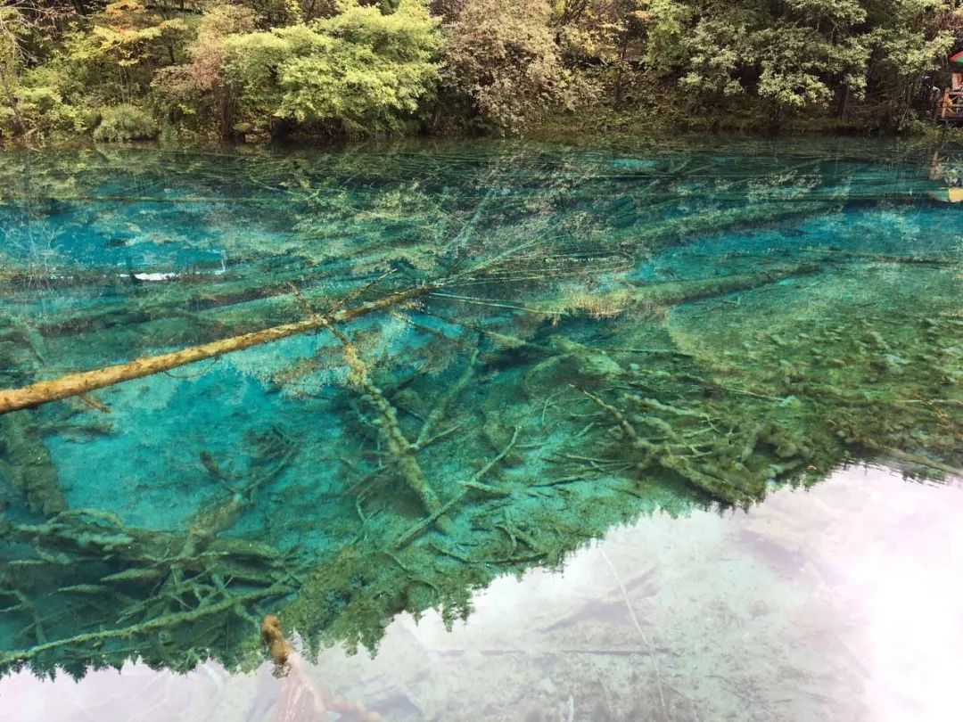 那個滿是彩林,疊瀑,翠海的地方——九寨溝,一步一色,變幻無窮,美麗到