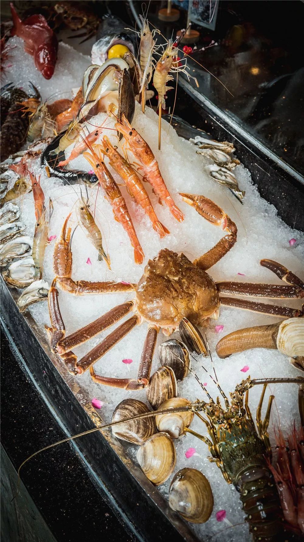 人山人海228起狂抢2大2小高端海鲜自助餐90佛山吃货都种草的自助餐界