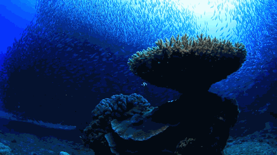 塞班岛上最激动人心的地方蓝洞只是万千潜水者必到的胜地之一