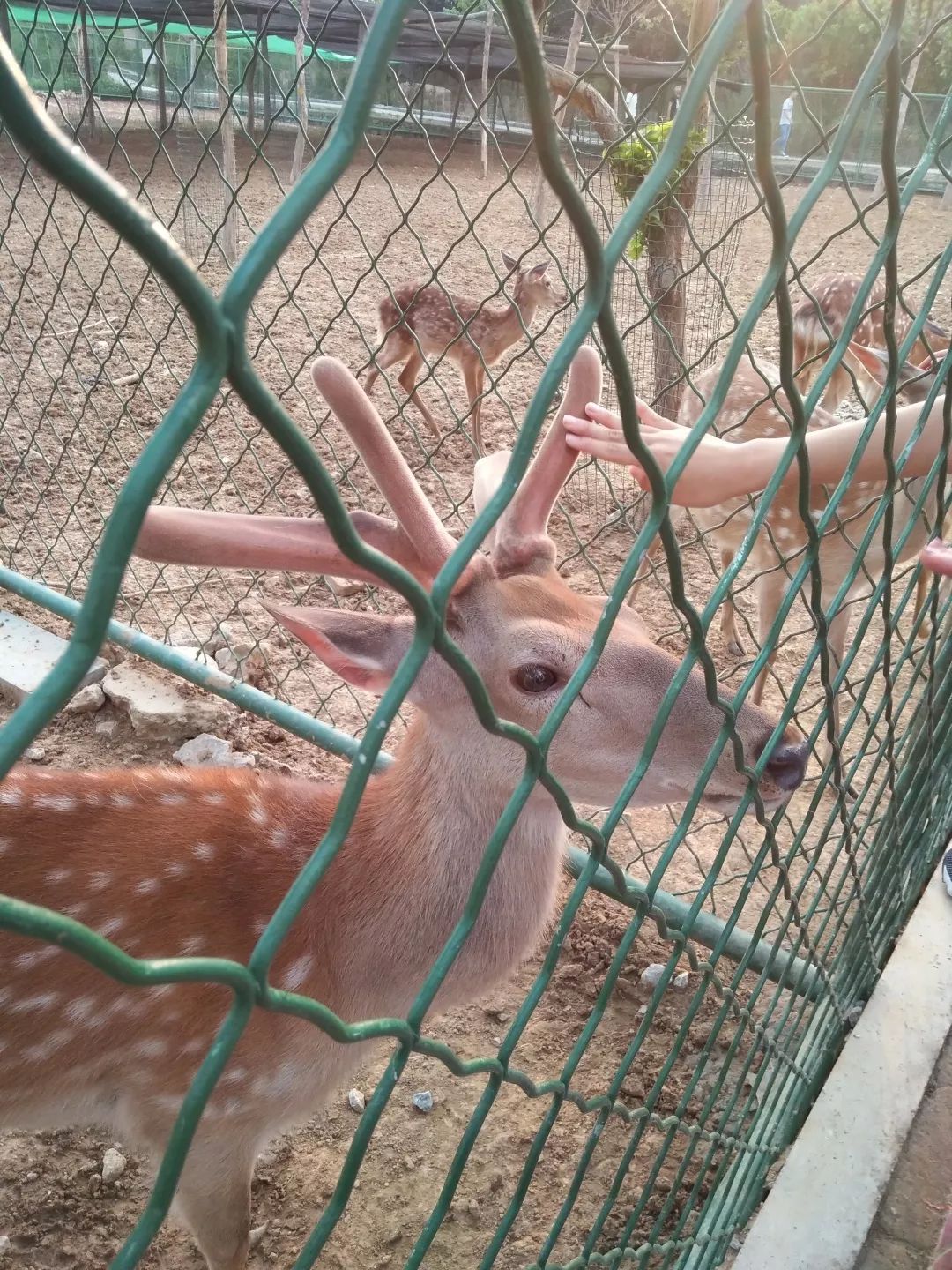 微信编辑 张海悦图片来源 范鑫宇 谢树刚 张海悦 赵益辰电力学院