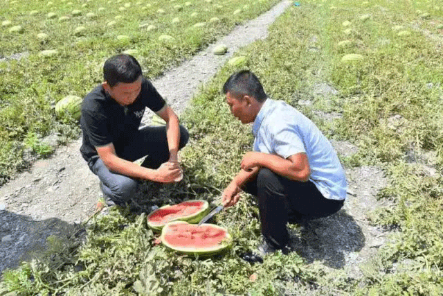 吃瓜的正确打开方式原来看他们炫富可以如此有幸福感