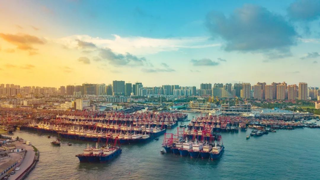 期待鱼虾满归~据悉,侨港是我国四大渔港之一,是泛北部湾地区交易量最
