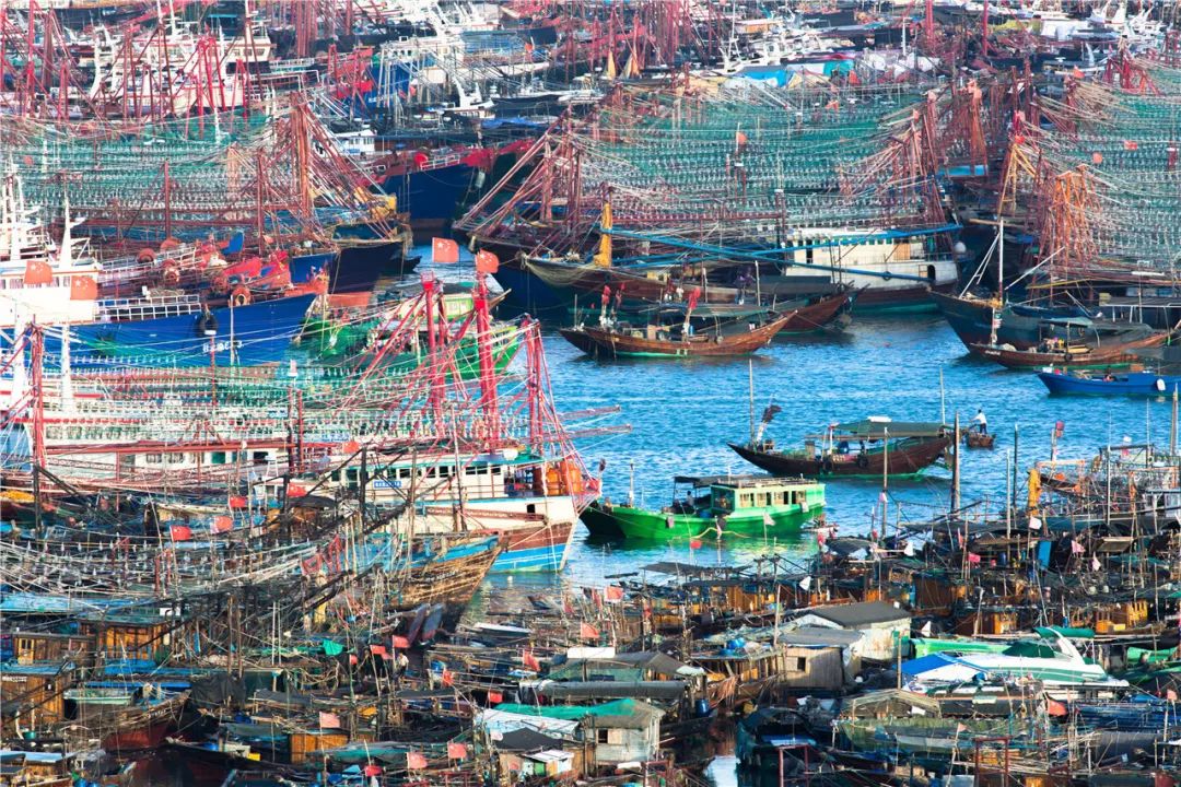 侨港开海节盛大起航看千帆竞发期待鱼虾满仓