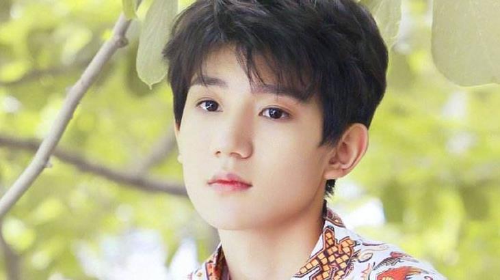 王源哪里人 来自搜狐网