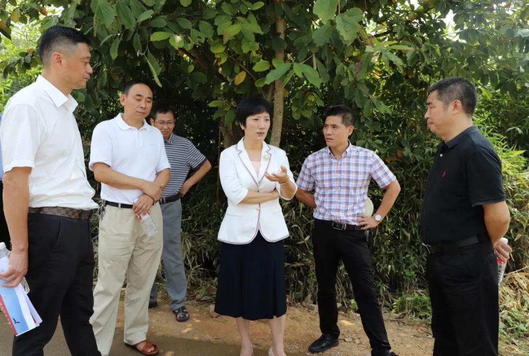 黄美萍督办环保督察信访件整改工作