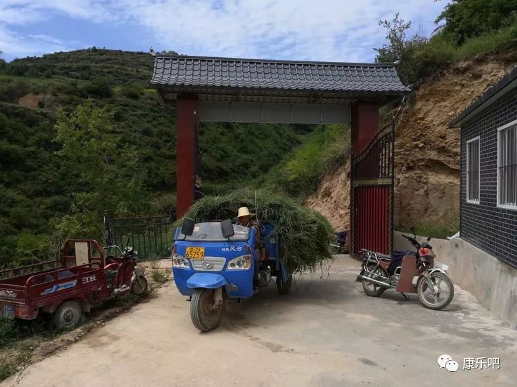 厉害康乐县一合作社为45户村民分红还有