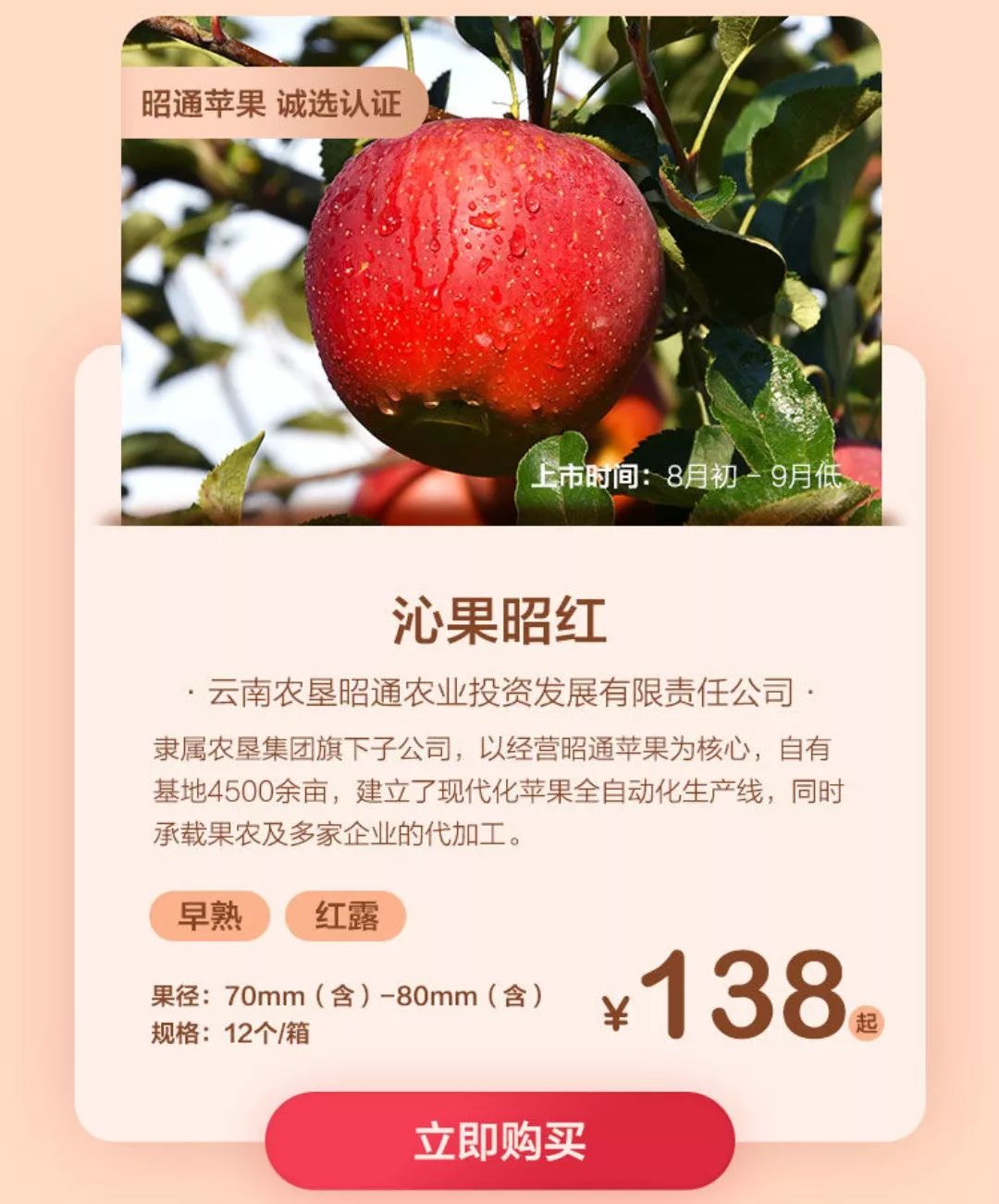 昭通苹果今天批发价格