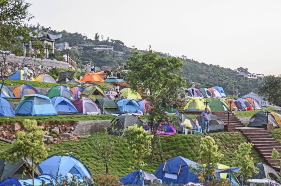 园入眼就是满目的绿,你会发现,这里并没有韭菜,却有阶梯式的露营草坪