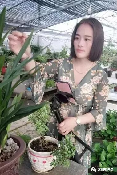 沭阳人,选美大赛来啦,快来投上宝贵一票!