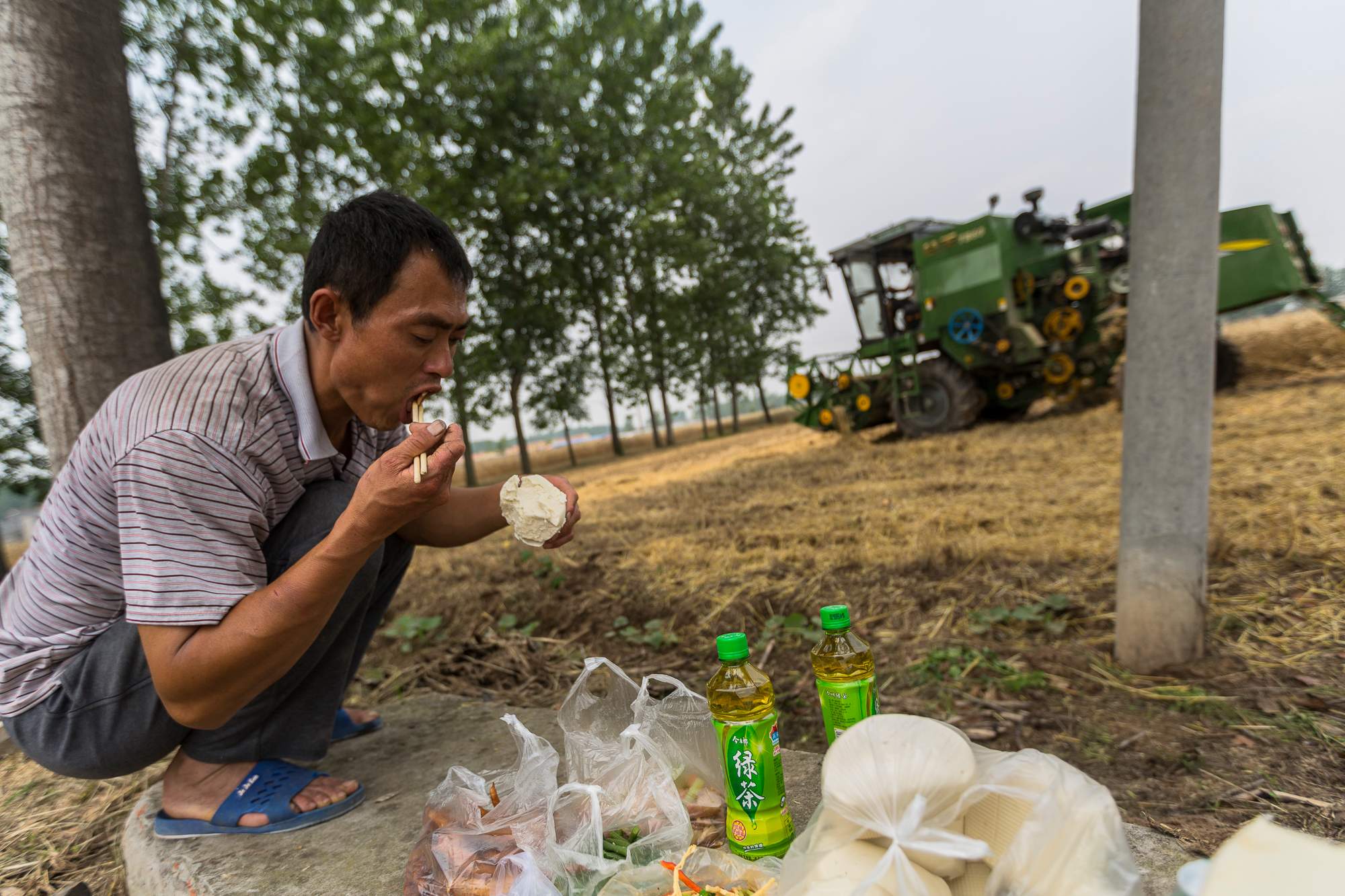 在北方农村,到了收割的季节农民们干活带上一大袋的干粮,然后就着腐乳