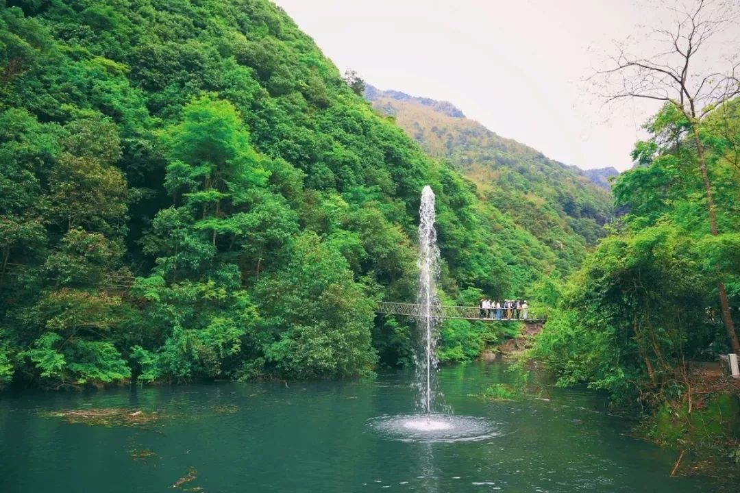 泰顺南浦溪一线天图片