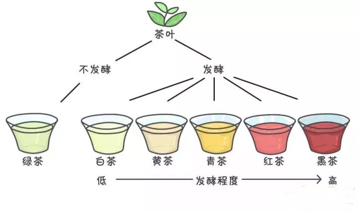 茶按冲泡出的颜色(不发酵或发酵程度)分为:绿茶,白茶,青茶(乌龙茶)