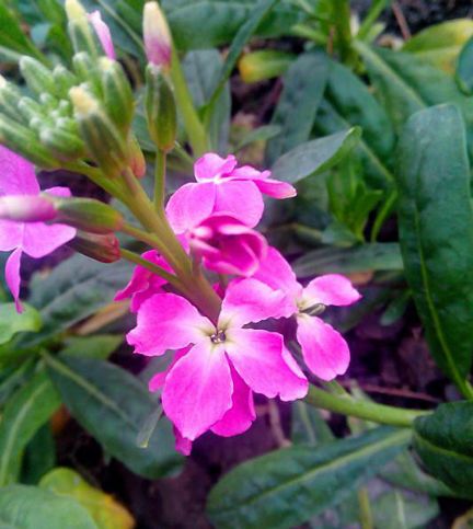 贵人当道招财进宝的3生肖8月25号起能够发家致富赚大钱