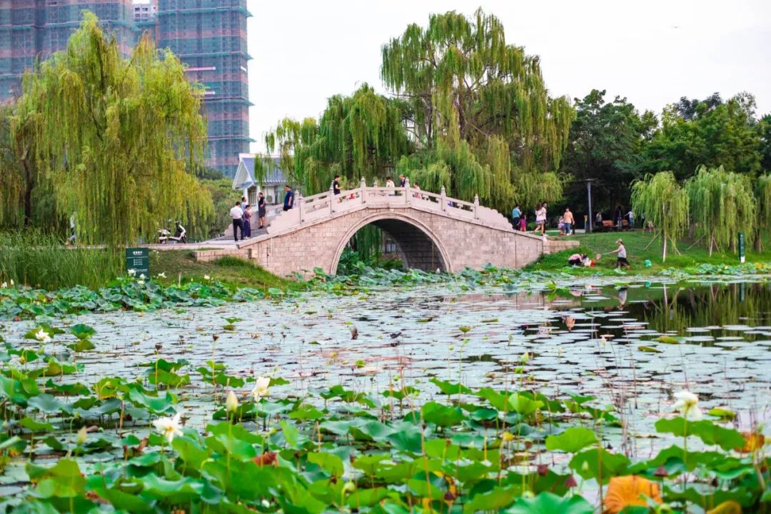 不逛文峰公园你永远无法了解阜阳