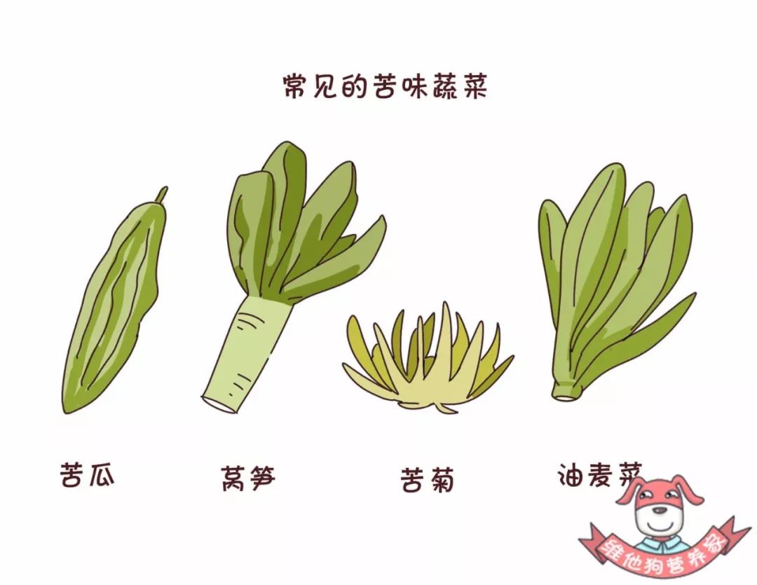 苦瓜,苦菊…夏天真的靠这些苦味蔬菜养生了?