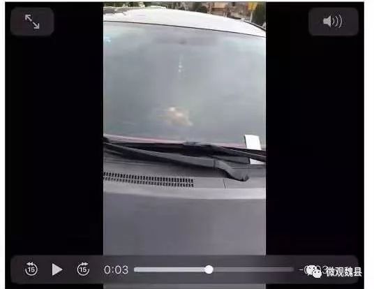 常态创城魏县公交车有了专用停车位私家车不得占用否则