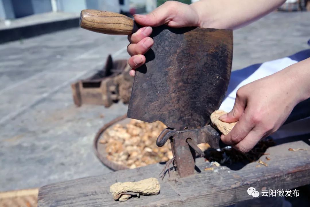 中药想要用得好,炮制也有大学问,看看云阳中医的炮制经验_进行