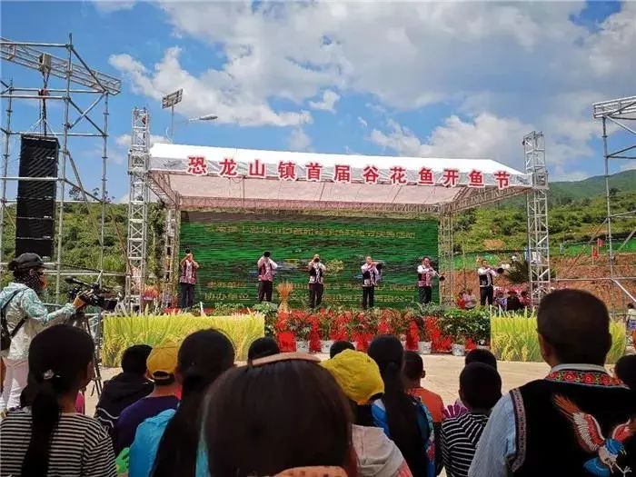 走摸鱼克看谁抓得多禄丰恐龙山镇谷花鱼节即将开启