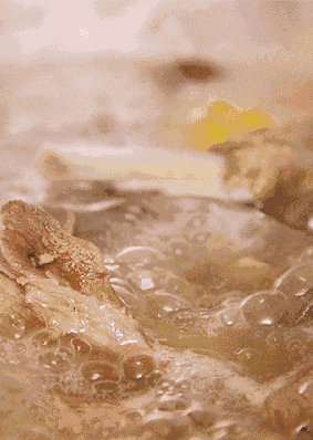 283_398竖版 竖屏gif 动态图 动图