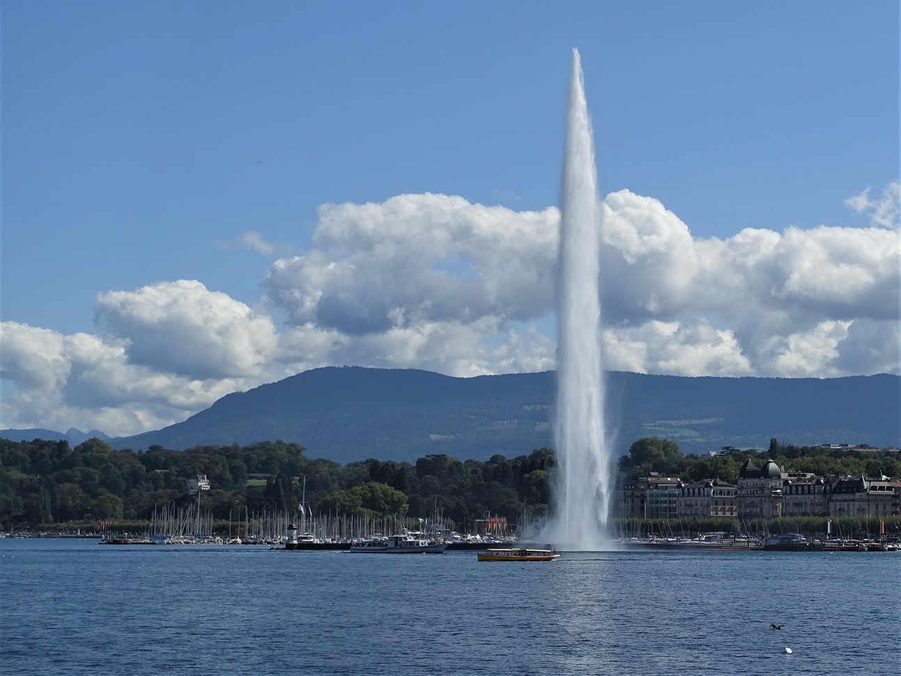 日内瓦湖喷泉图片