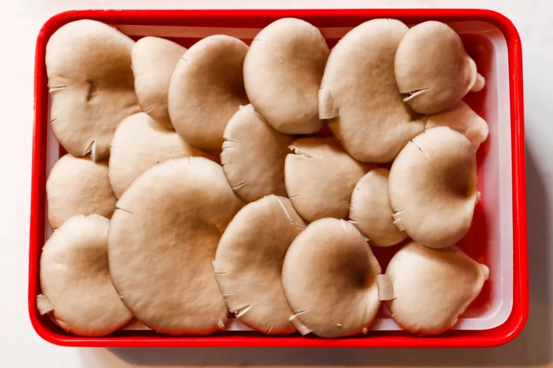 (平菇)(千张)(土豆)(藕片)新品来袭(套餐内容不包含)每一顿火锅,都是