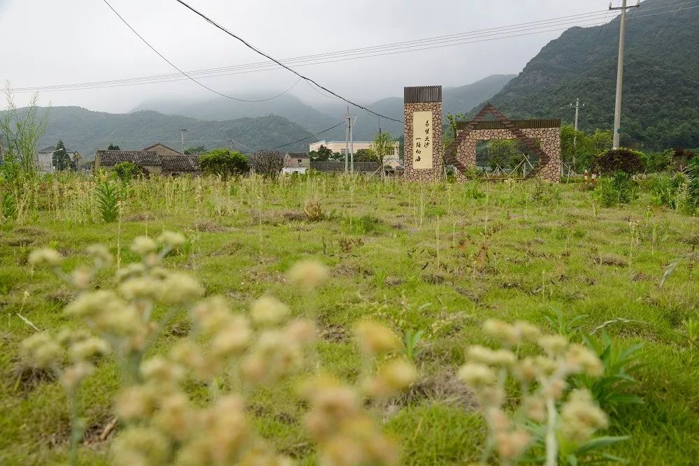 走青石板路听鸟鸣溪潺吃海鲜点心象山的这些村落醉了时光