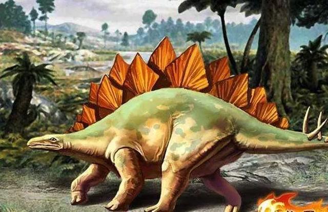 剑龙霸王龙属暴龙科中体型最大的一种.体长约11.5-14.7米.