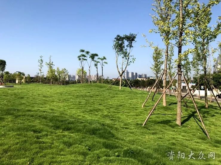 资阳城北水泥厂边修起了23850㎡的绿地小游园一眼望去尽是绿意