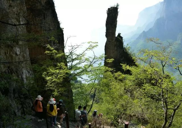 景區亮點關山漂流帳篷露營七彩滑道,水上項目最美峽谷音樂季好看,好玩