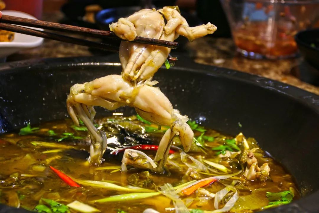 江阴西横街新开的【美蛙鱼头】 成都味儿!红汤,鲜青椒,酸菜各有特色!_