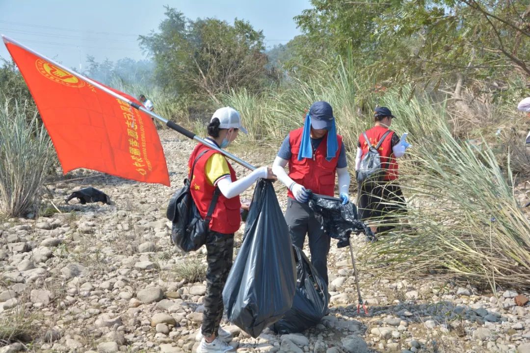 楠溪江滩地音乐公园灾后全力恢复300名志愿者齐清理