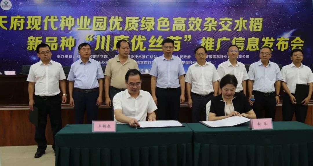 天府现代种业园杂交水稻新品种川康优丝苗发布西南品种产权交易及成果