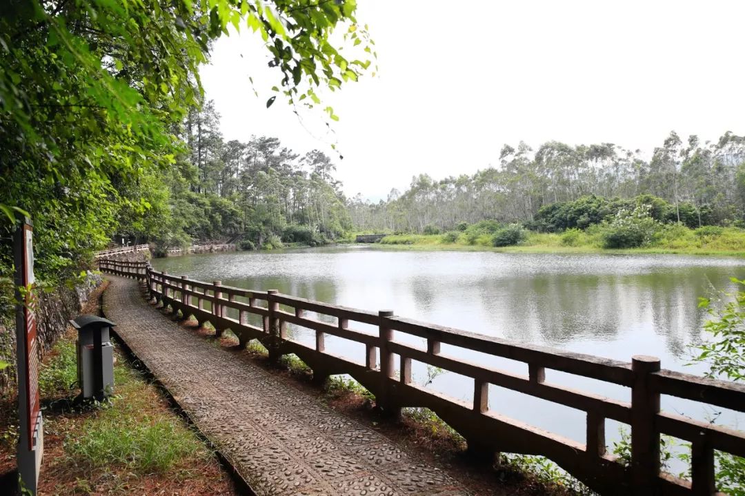 这里是淮山之乡,是太平天国起义的地方!桂平金田镇.