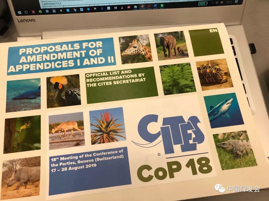 濒危野生动植物种国际贸易公约第18届缔约方大会开幕周晋峰率绿会团
