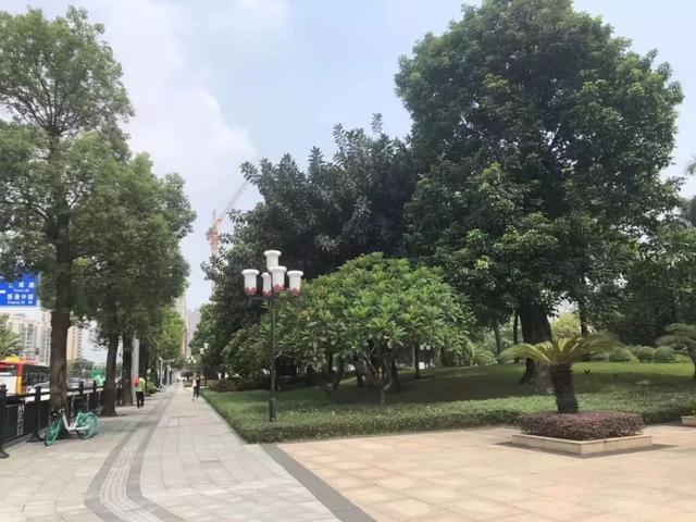 海珠赤岗街这个地方将建广州科学馆已经开拆