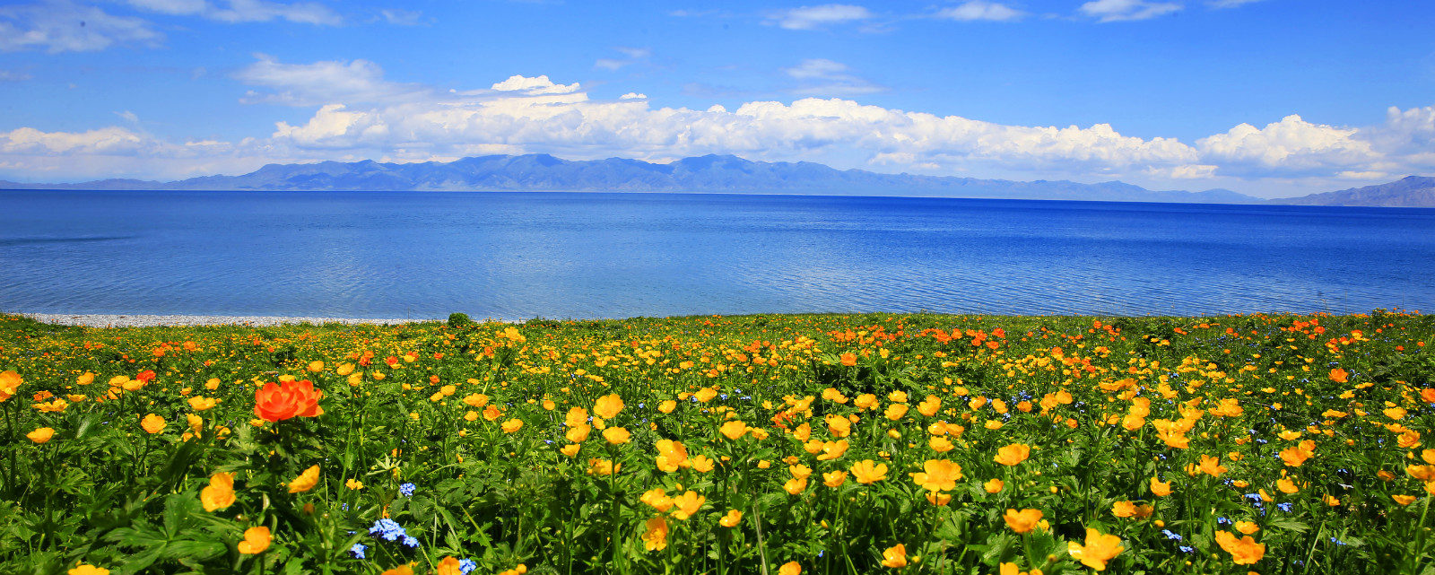 古城西安掀起最炫"赛里木湖风" 博州美景惊艳西安市民